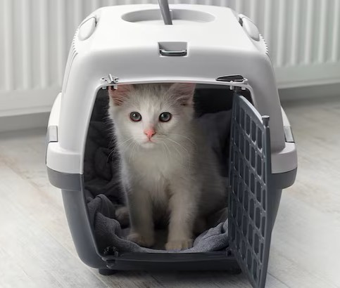 Picture for category Pet Carriers